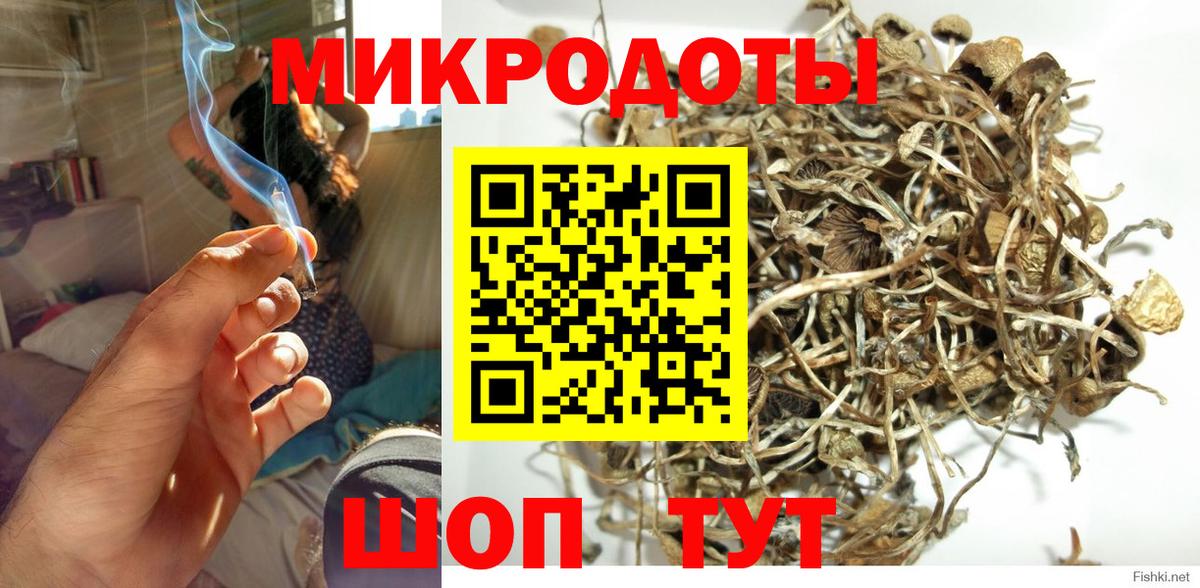 Галлюциногенные грибы Cubensis Железноводск