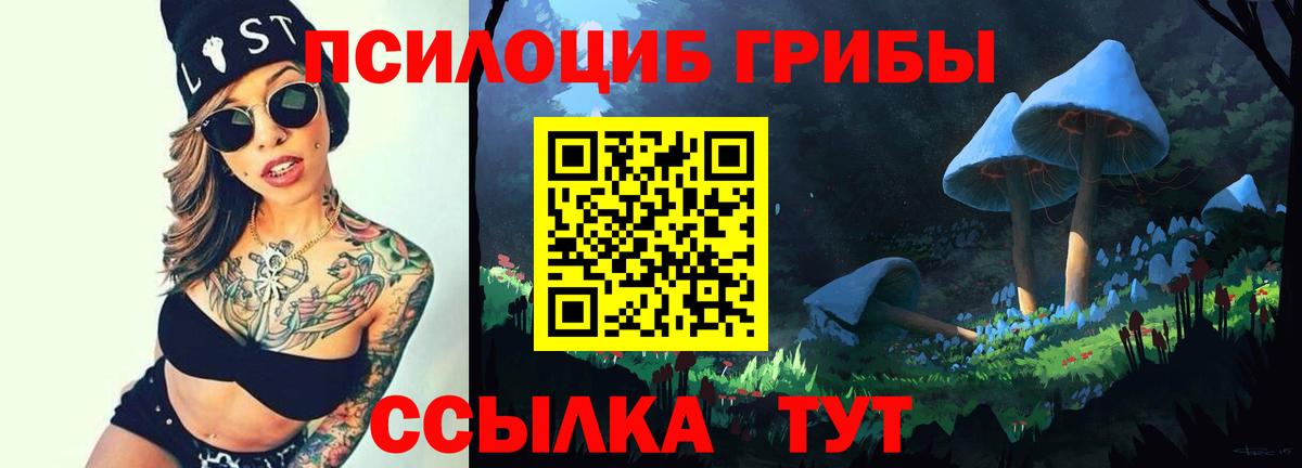 Железноводск  Псилоцибиновые грибы мухоморы  Вход с VPN 